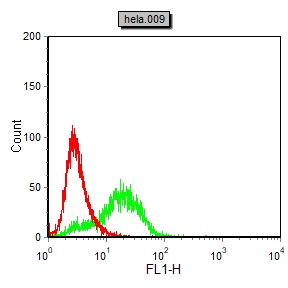 Mouse Monoclonal Antibody to IL6