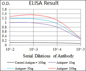 Mouse Monoclonal Antibody to ITGB4