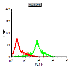 Mouse Monoclonal Antibody to CD28
