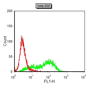 Mouse Monoclonal Antibody to PIK3CA