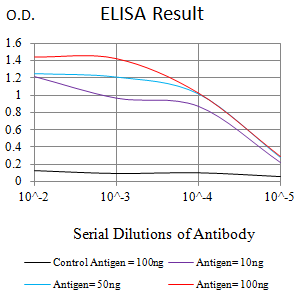 Mouse Monoclonal Antibody to MSH6