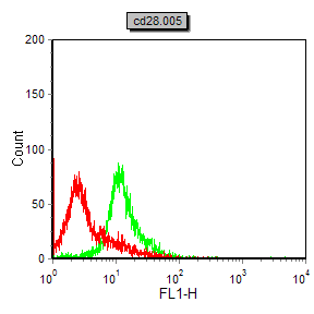 Mouse Monoclonal Antibody to CD28