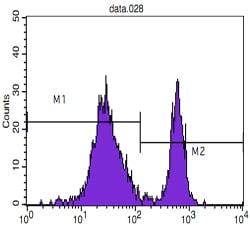 Mouse Monoclonal Antibody to CD4