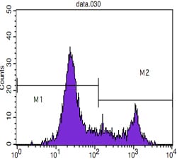Mouse Monoclonal Antibody to CD8