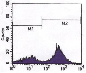Mouse Monoclonal Antibody to CD3