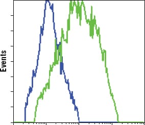 Mouse Monoclonal Antibody to GFP