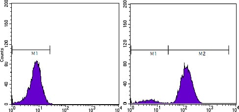 Mouse Monoclonal Antibody to PSA (KLK3)