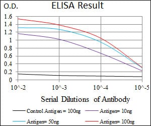 Mouse Monoclonal Antibody to PPP2CB