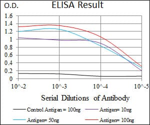 Mouse Monoclonal Antibody to TBLR1