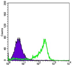 Mouse Monoclonal Antibody to PAX6