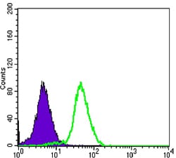 Mouse Monoclonal Antibody to CD276