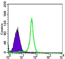 Mouse Monoclonal Antibody to TAB2