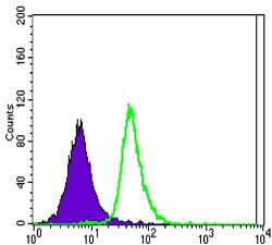 Mouse Monoclonal Antibody to SLC22A1