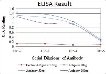 Mouse Monoclonal Antibody to SNAI1