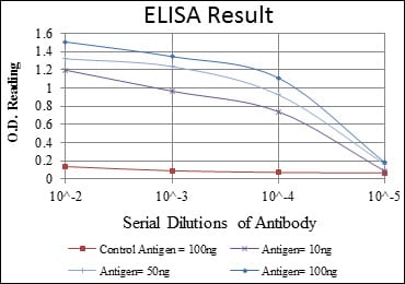 Mouse Monoclonal Antibody to PAX4