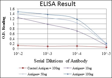 Mouse Monoclonal Antibody to NR3C1