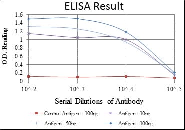 Mouse Monoclonal Antibody to GYS1