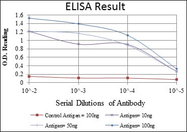 Mouse Monoclonal Antibody to AURKA
