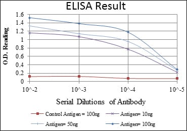 Mouse Monoclonal Antibody to AURKA