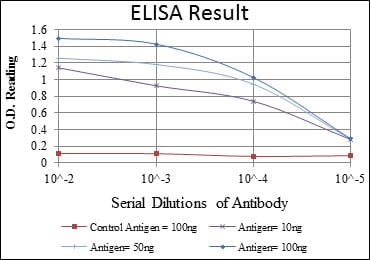 Mouse Monoclonal Antibody to ACTA2