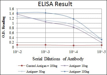 Mouse Monoclonal Antibody to MAP2K6
