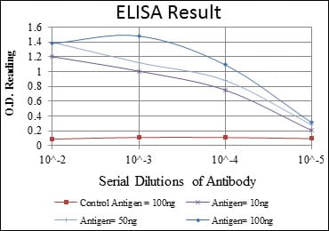 Mouse Monoclonal Antibody to MAP2K6