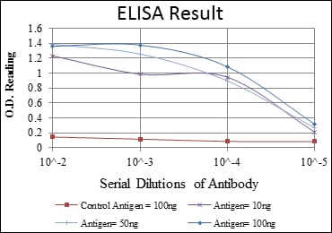 Mouse Monoclonal Antibody to RUNX1