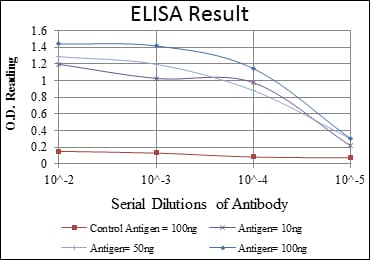 Mouse Monoclonal Antibody to PRKAA1