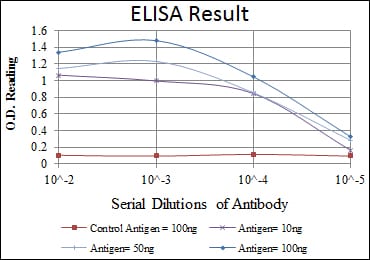 Mouse Monoclonal Antibody to ATM