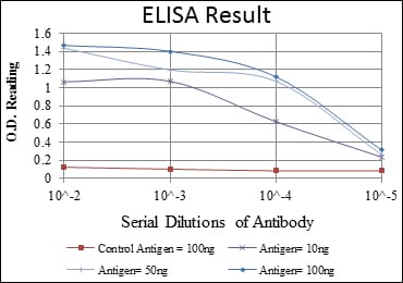 Mouse Monoclonal Antibody to CD94