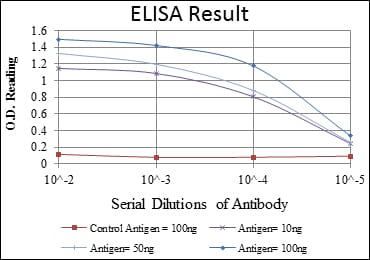 Mouse Monoclonal Antibody to CD94