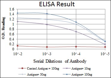 Mouse Monoclonal Antibody to MSI2