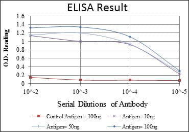 Mouse Monoclonal Antibody to CDK1