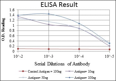 Mouse Monoclonal Antibody to BECN1