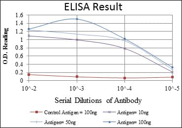 Mouse Monoclonal Antibody to BMPR2