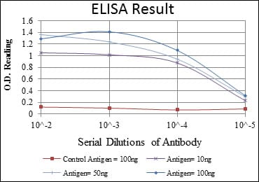 Mouse Monoclonal Antibody to CCND3