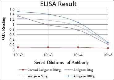 Mouse Monoclonal Antibody to EIF4E
