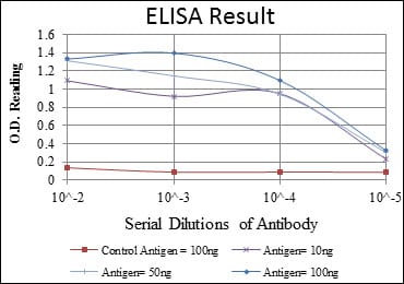 Mouse Monoclonal Antibody to EEF2