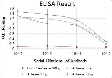 Mouse Monoclonal Antibody to LHX2