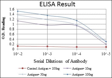 Mouse Monoclonal Antibody to HSP60