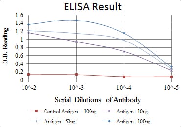 Mouse Monoclonal Antibody to MSX1