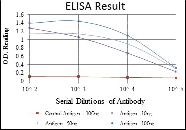 Mouse Monoclonal Antibody to BID