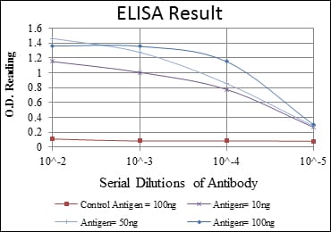 Mouse Monoclonal Antibody to FUK