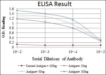 Mouse Monoclonal Antibody to Epha10