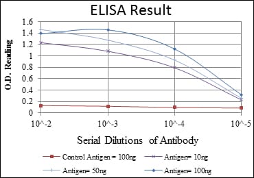 Mouse Monoclonal Antibody to CDK5