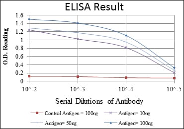 Mouse Monoclonal Antibody to CDK9