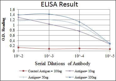 Mouse Monoclonal Antibody to ApoB