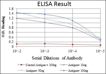 Mouse Monoclonal Antibody to ABCG2