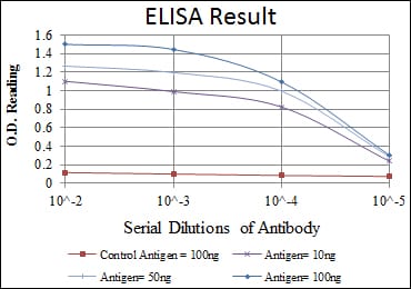 Mouse Monoclonal Antibody to OTX2