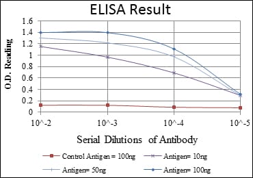 Mouse Monoclonal Antibody to SMN1